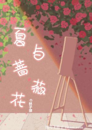 夏与蔷薇花小说免费阅读封面